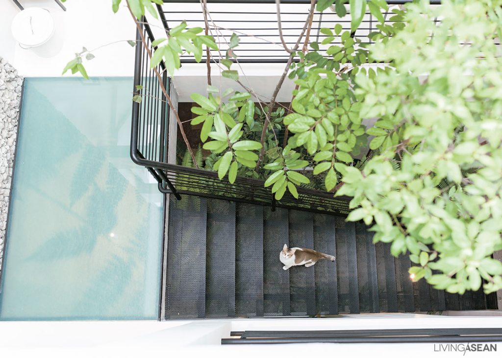 The new set of stairs illuminated by a rooftop skylight is one of the spots everyone likes the most. 