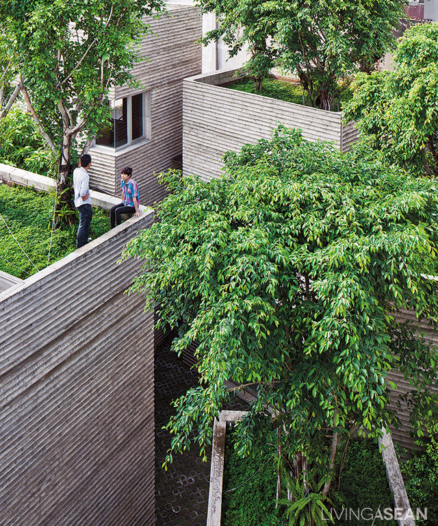 The varying heights enable residents to view nature from various angles. Ona roof it is easier to water the trees planted up so high. 