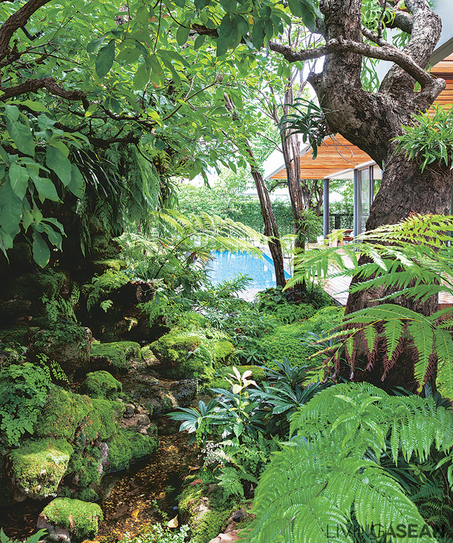 A spot in the garden where plants grow as naturally as they would in the forest. The natural effect is enhanced by setting plants at different heights, from ground cover through low shrubs, on up to tall vegetation.
