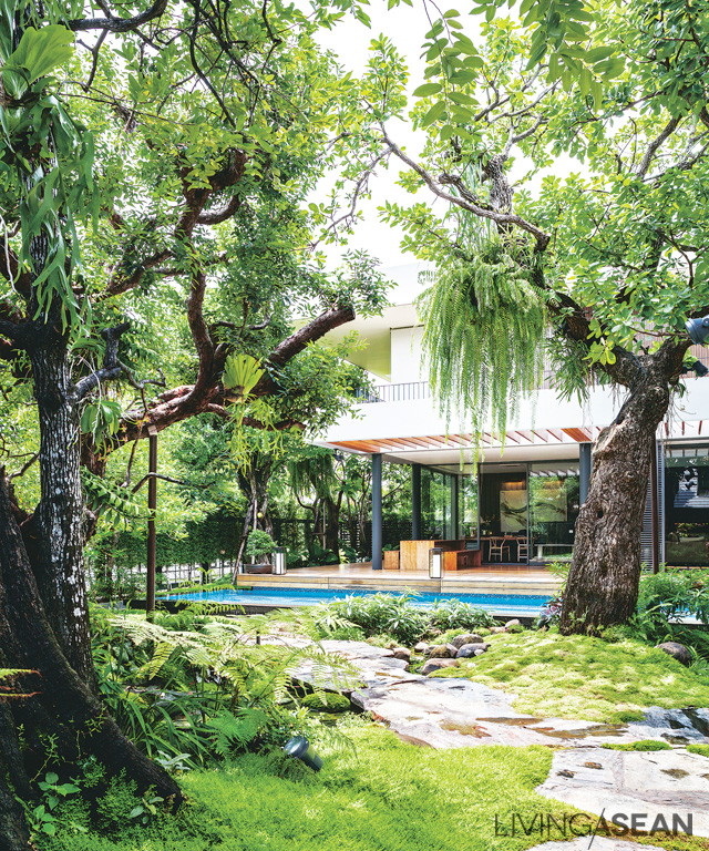 Trees and shrubs shade the semi-enclosed pathway connecting the two houses with the swimming pool, giving the sense of walking through a sparse jungle.