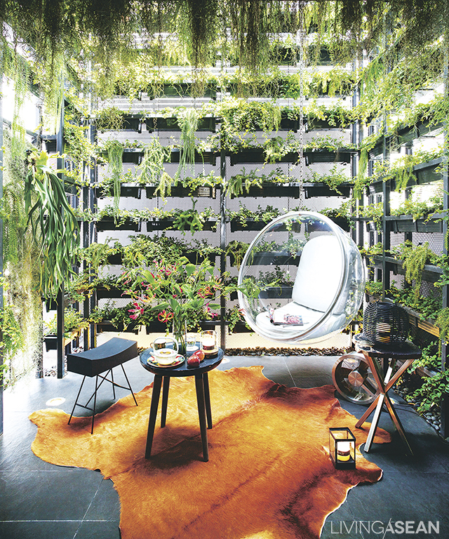 The back area of the townhome is transformed into a super-hip vertical garden. Here you can lounge around in this hanging modern-looking bubble chair made of clear acrylic. 