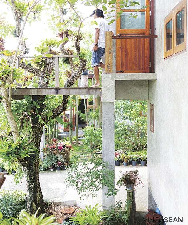 A thriving Pride-of-India tree shoots right through an opening in the second floor balcony. It is the intention of the homeowner to let nature permeate the living spaces where possible. 