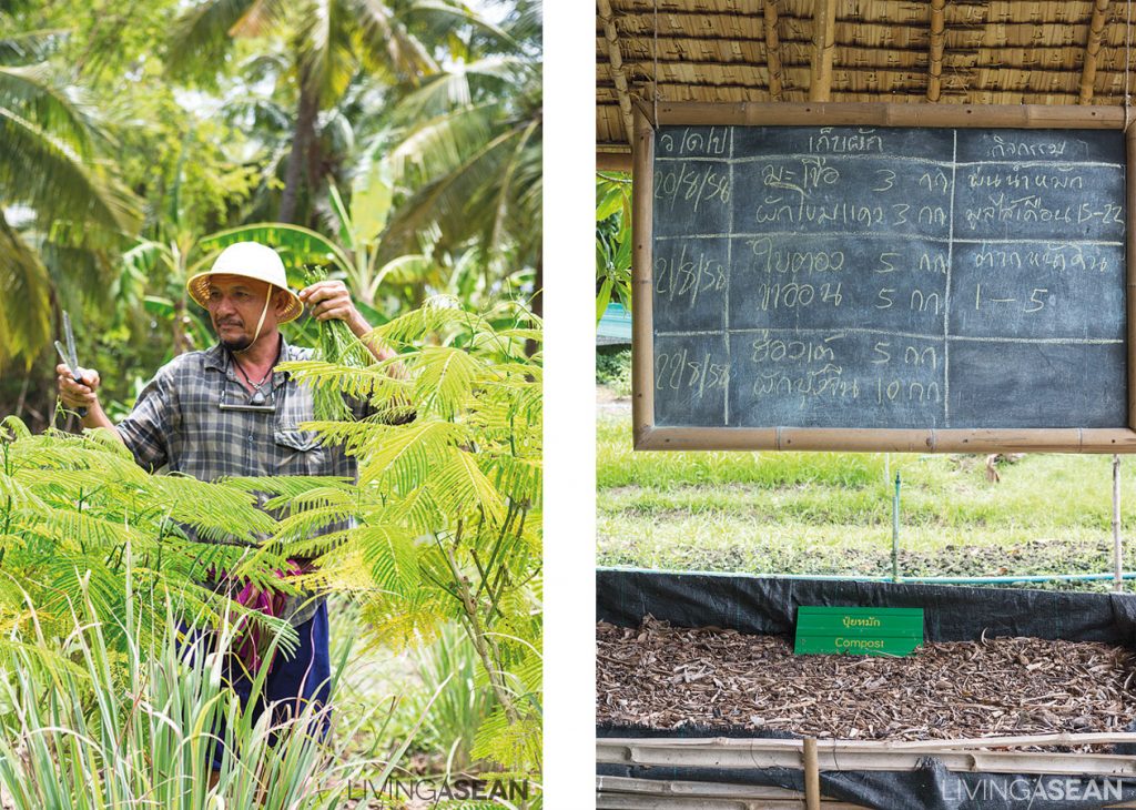 Anirut, lovingly called the local wise man, is always there to share his knowledge with visitors. /// His blackboard shows the timetable, tips, and tricks for growing plants, making compost, and care for the vegetable gardens. 