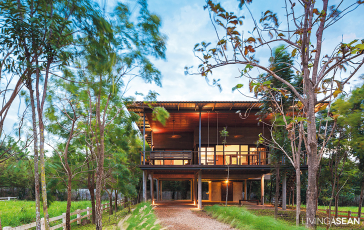 Modern House in a Forest Setting