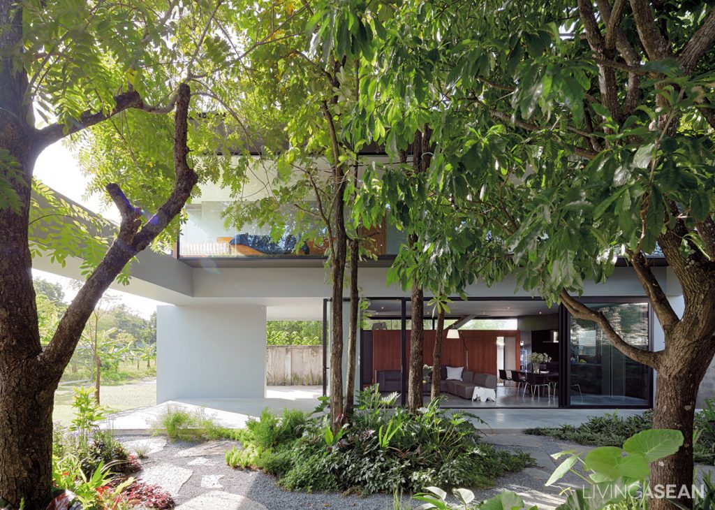 Box-Shaped House with a Tropical Style Garden