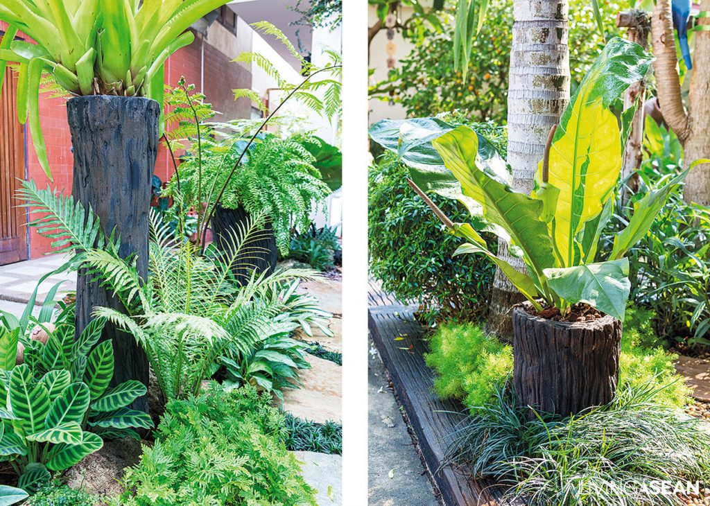 Tropical Garden Archives Living Asean Inspiring Tropical