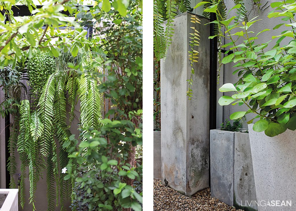 Hanging and potted houseplants turn the little courtyard into another day in paradise.