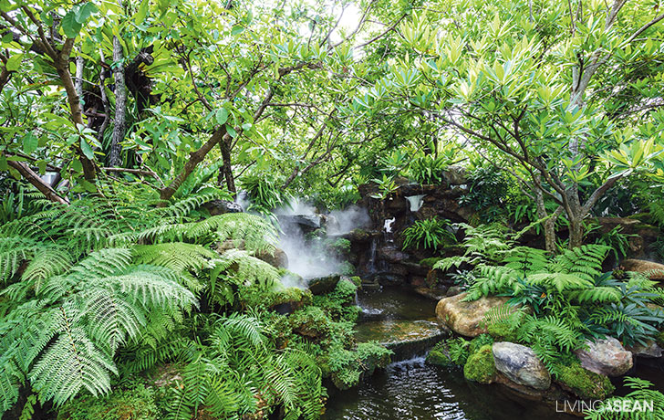 The Canopy Of A Tropical Garden