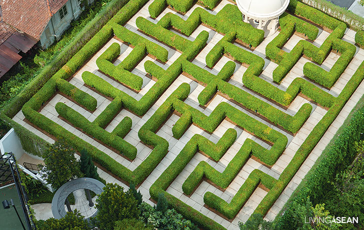 Amazing Maze Garden / Enjoy a Walk in the Garden Maze