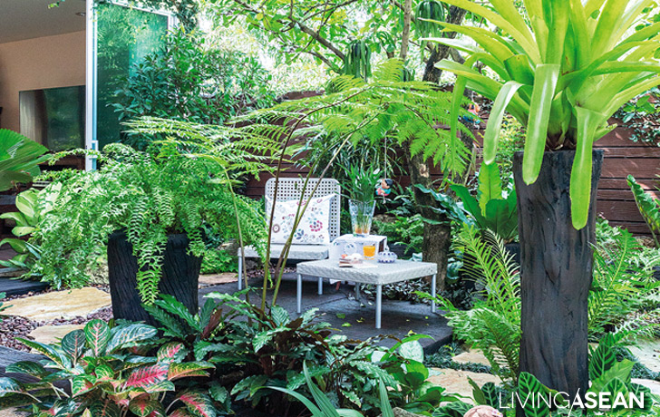 tropical garden design