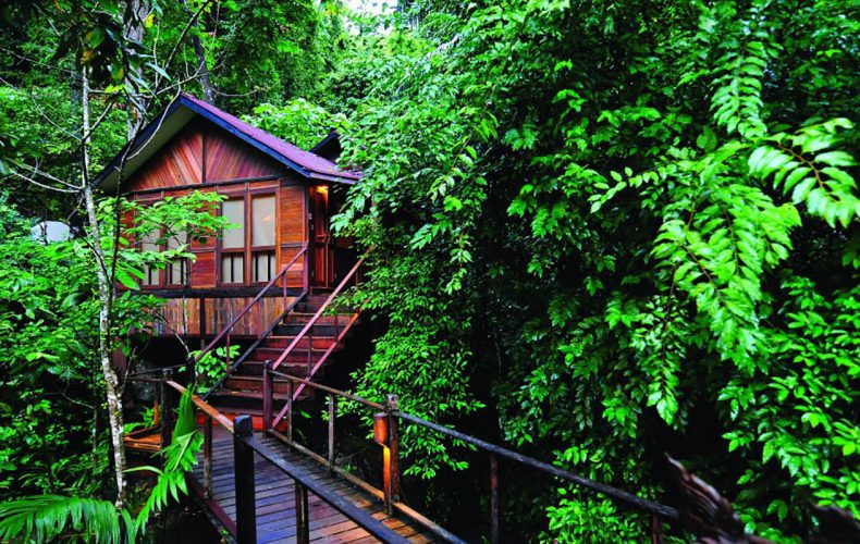 7 Rainforest Retreats That’re out of This World