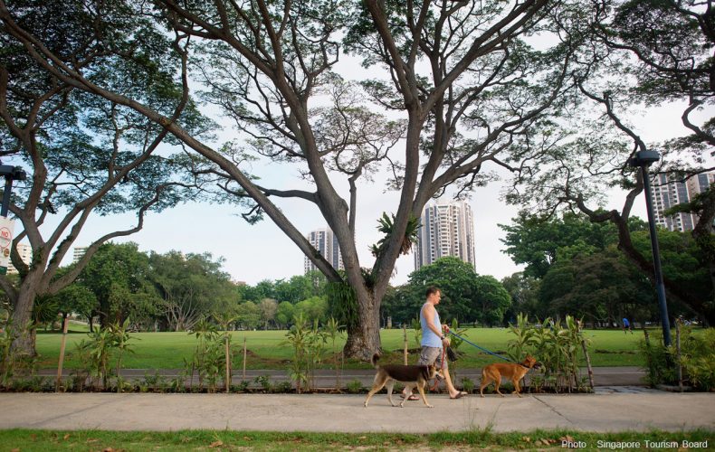 Parks And Open Spaces To Visit In Metro Manila | atelier-yuwa.ciao.jp