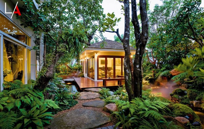 Rainy Season Forest Garden for Tropical Areas
