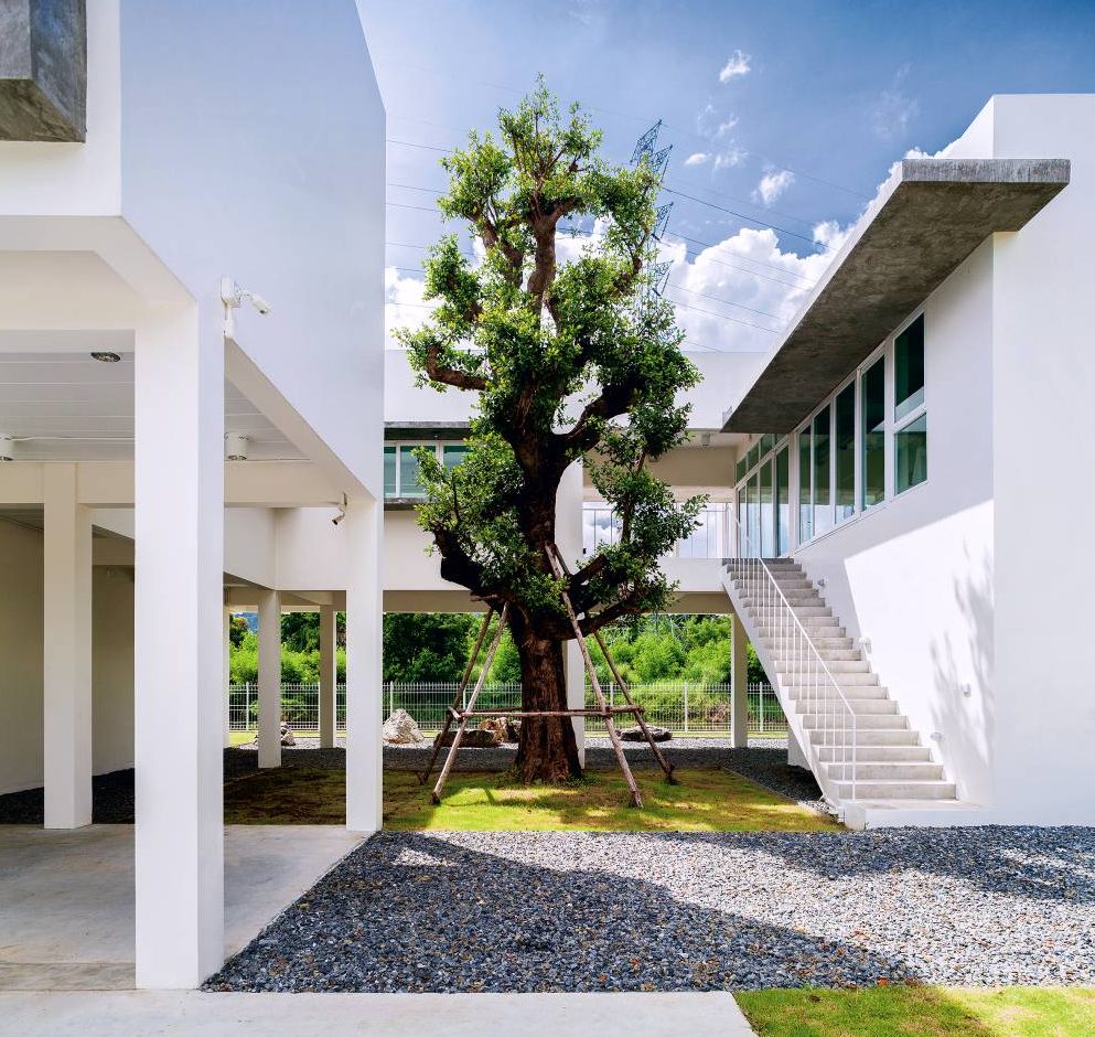 White Box-shaped House