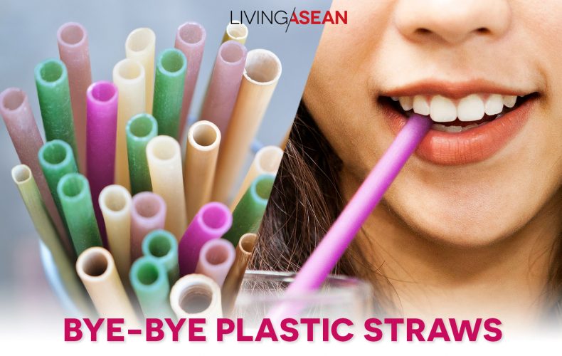 A Region Says No to Plastics
