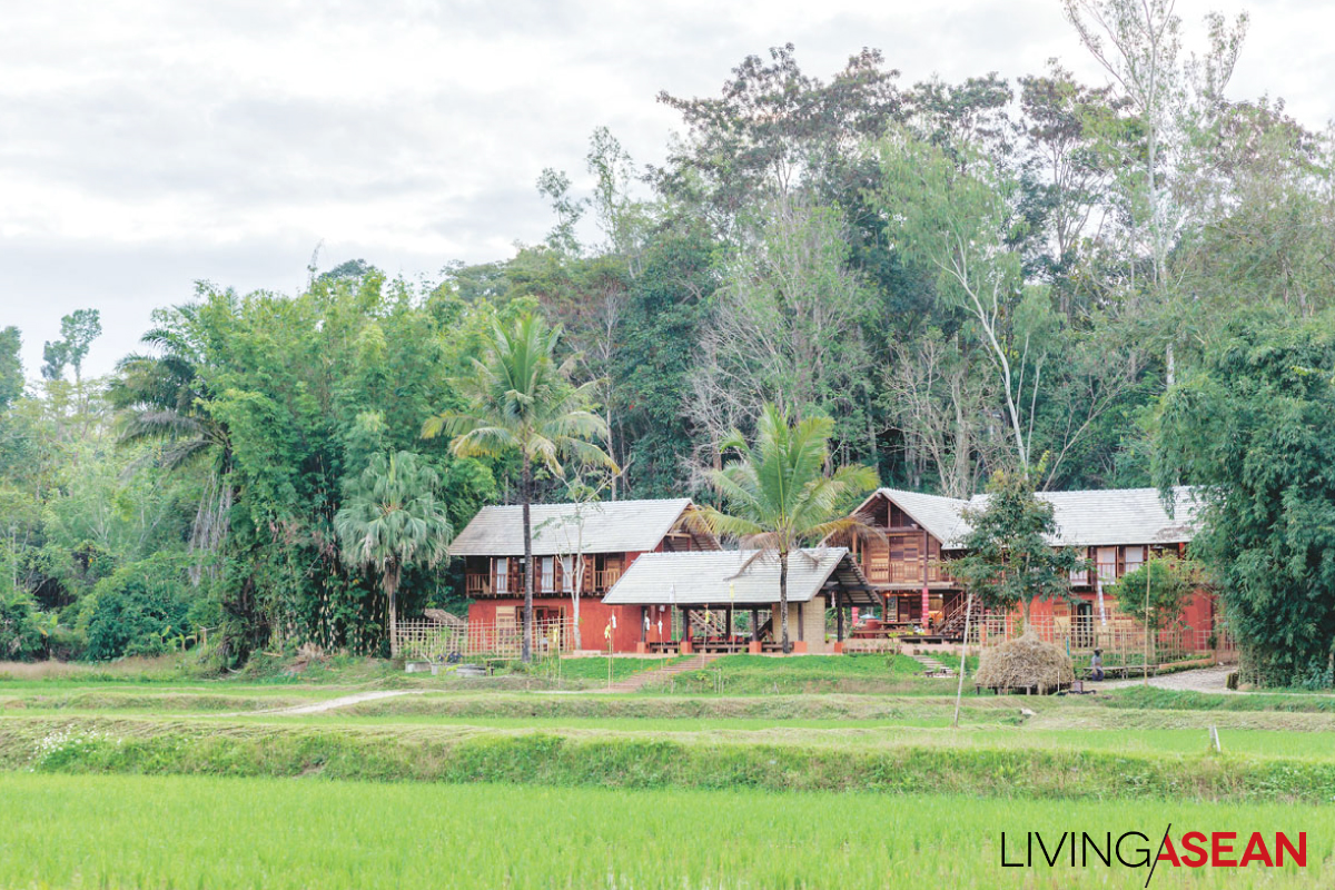 Modern Vernacular Homes