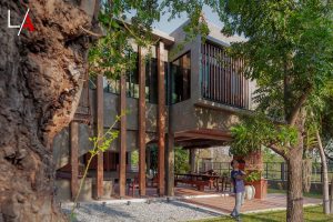 From Old Home to Stunning House on Stilts