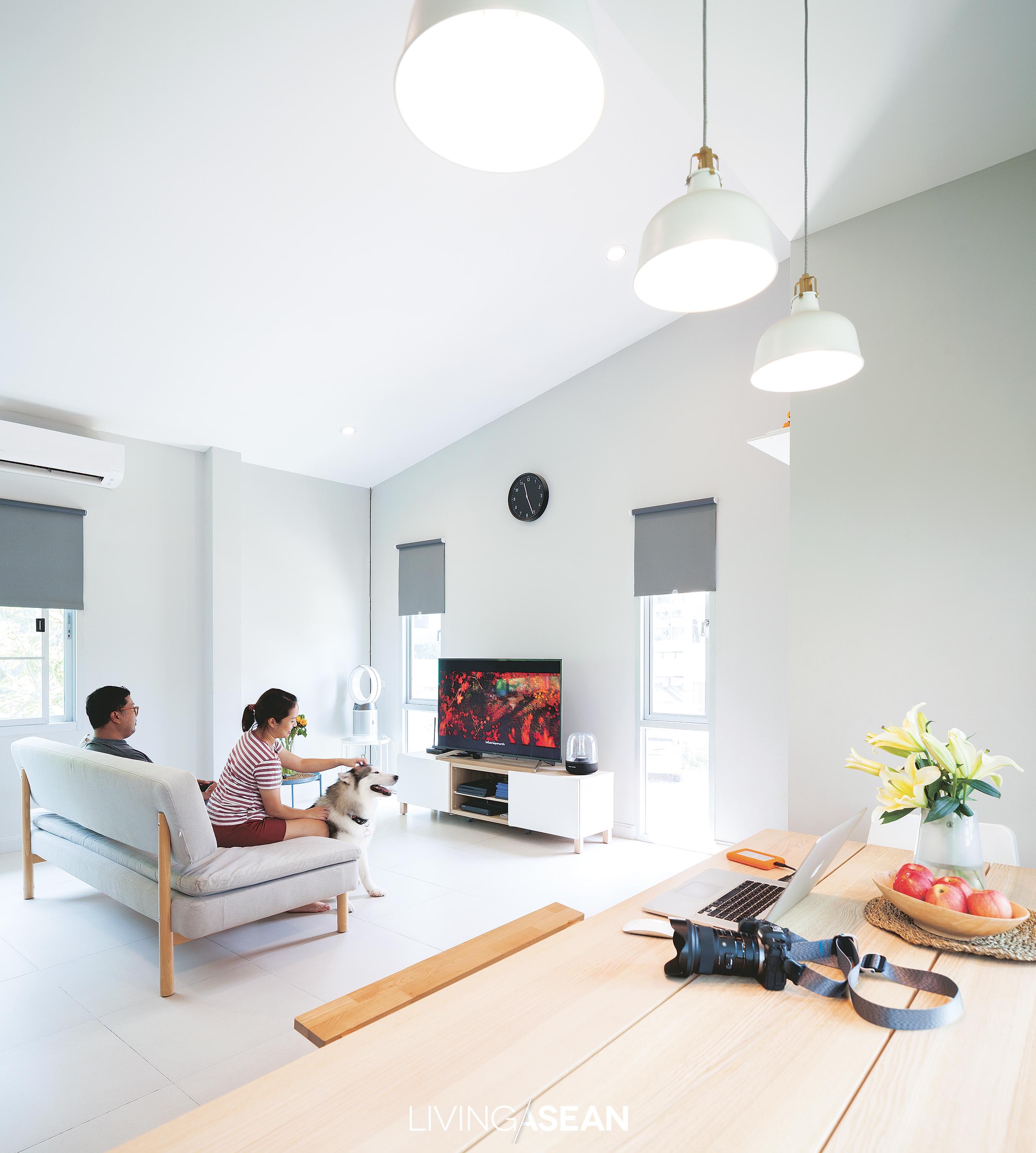 By floating a couch in the middle of the sitting room, the designer creates the illusion of having more space. It’s a great way to optimize the room to cultivate a bond between man’s best friends and their owners, plus it’s easy to update and keep clean.