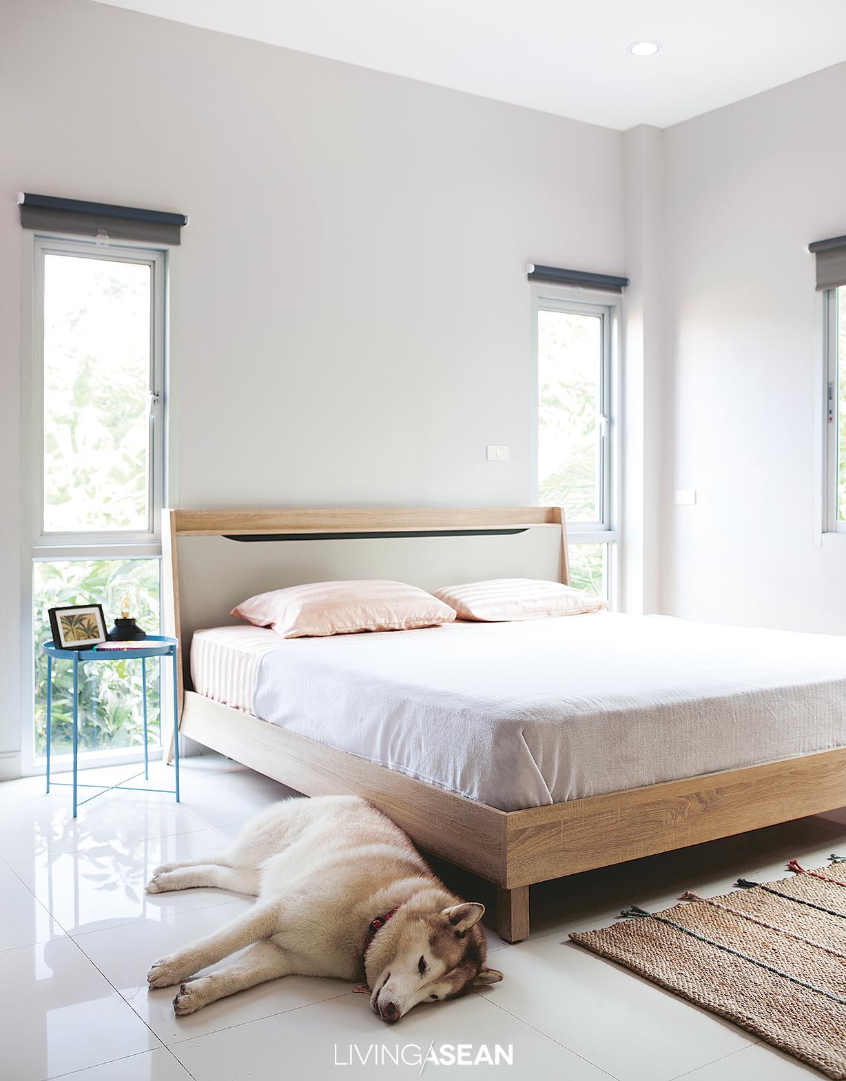 The bedroom is furnished with just the bare necessities consisting of a bed, sideboard, and desk. Open plan design makes perfect sense in a situation where dogs are allowed to sleep in the bedroom.