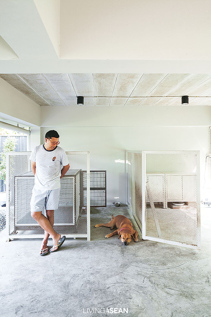 A section of the laundry room is cordoned off to make room for a dog yard with temporary individual crates for some that don’t get along.