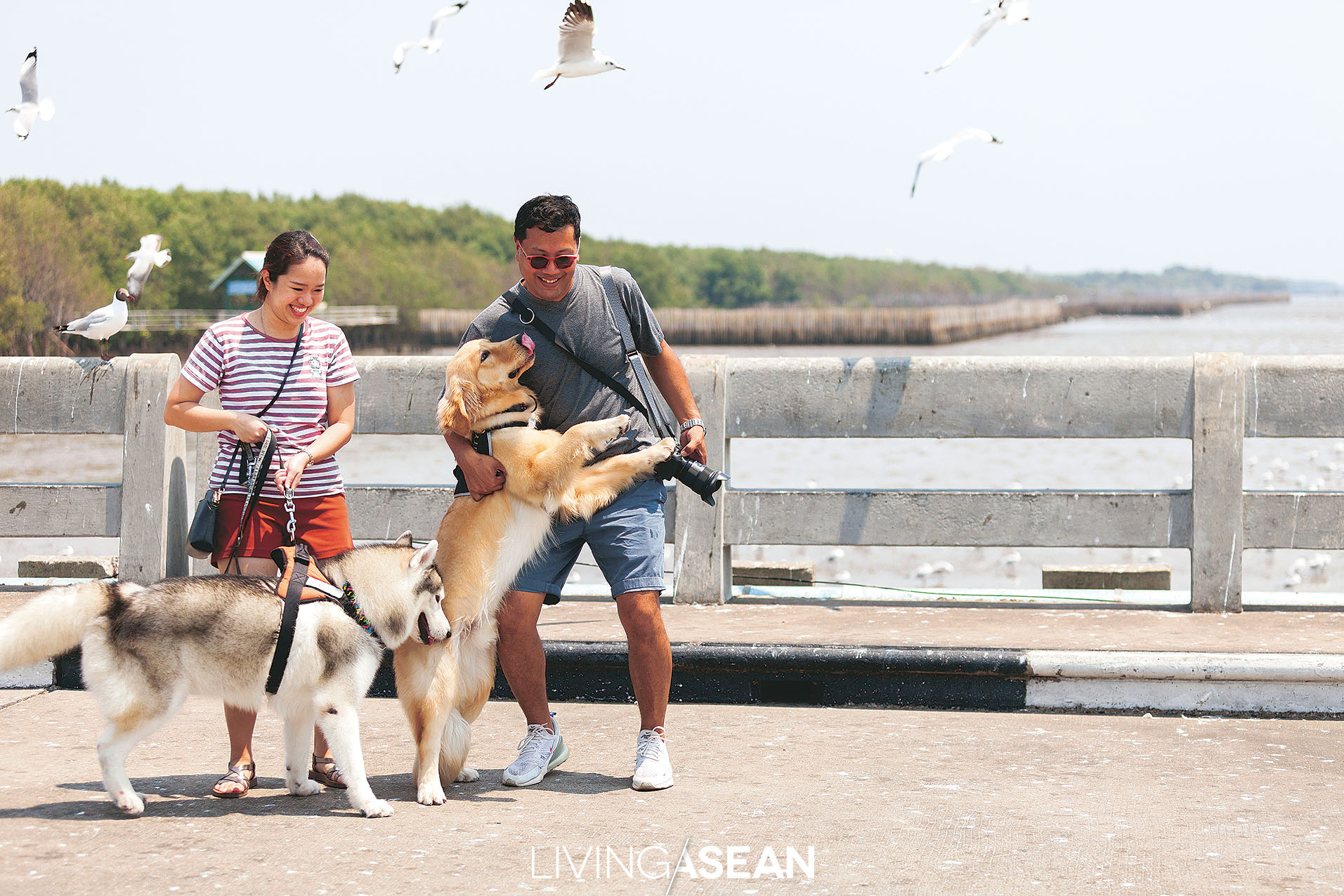 Even dogs need a vacation. Jobby, Whan and their four-legged friends are on a bird watching trip to Bang Pu, Samut Prakarn, which is only a short drive from where they live.