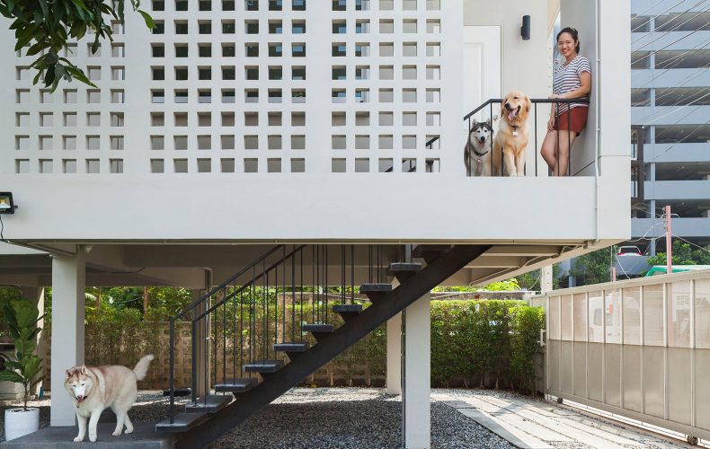 A Stunning Breeze Block House for Avid Dog Lovers