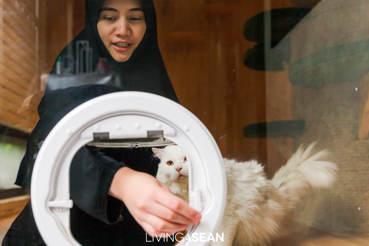 A flap door lets kitties come and go freely between the cat house and the litter box located in an open-air laundry area.