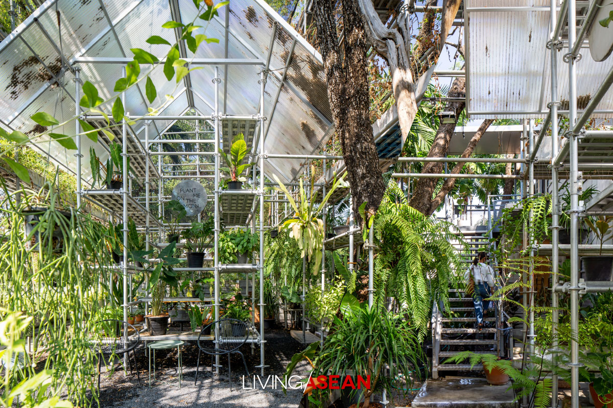 Plant Me on the Moon , cafe in Bangkok