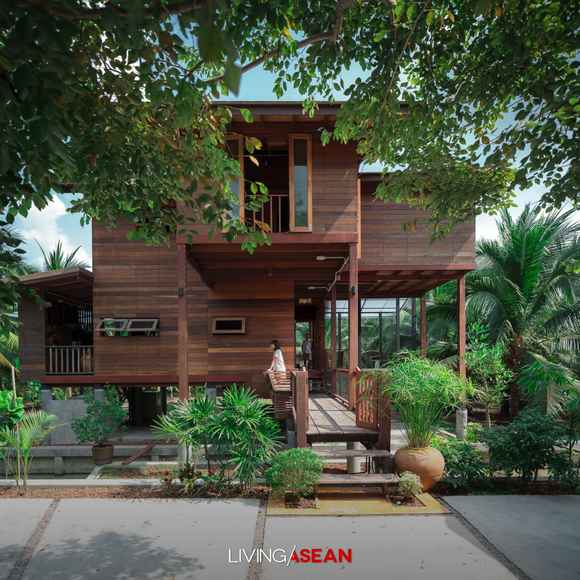 beautiful-house-on-stilts-in-a-coconut-grove-living-asean