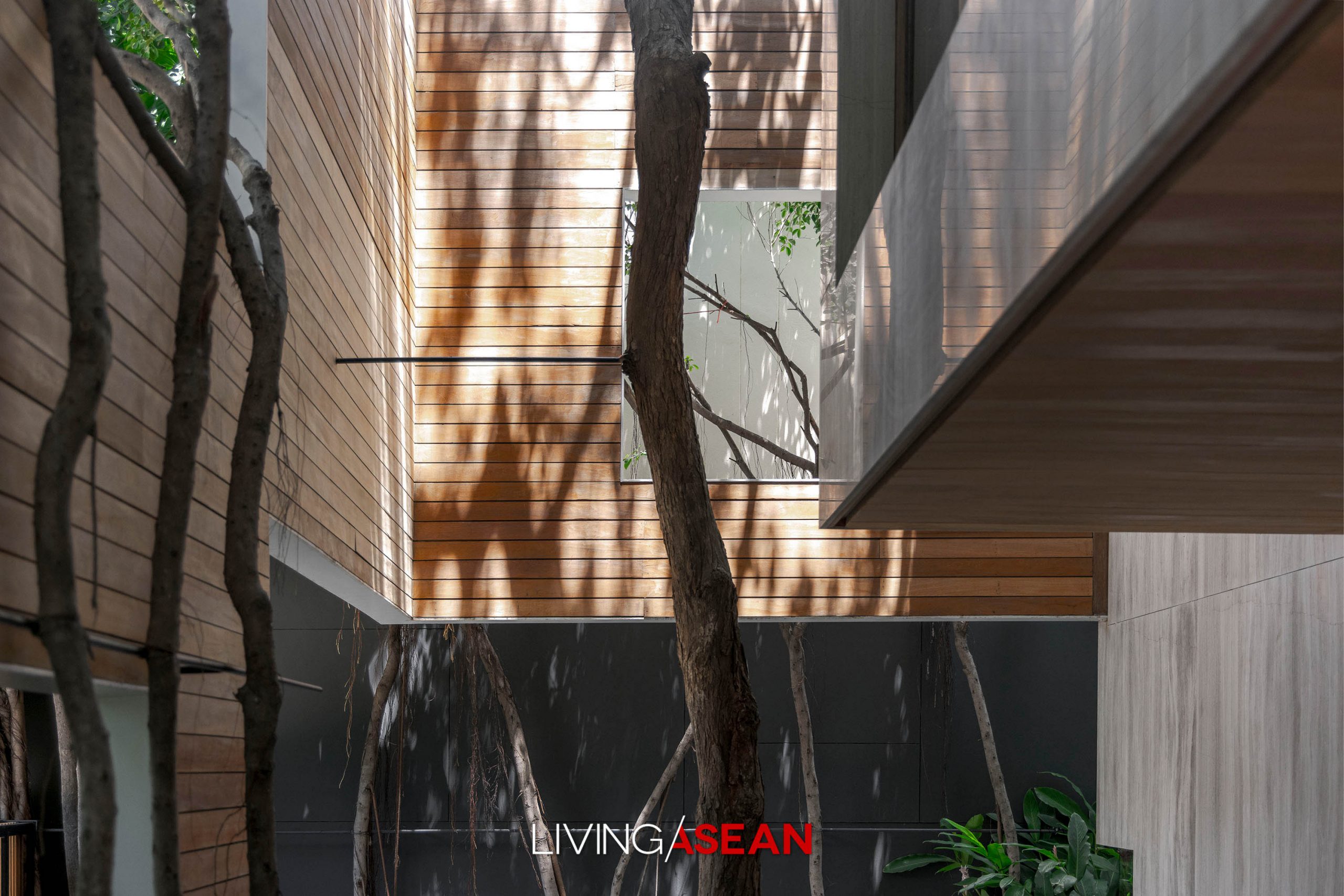 A Minimalist House with the Warm Elegance of Wood