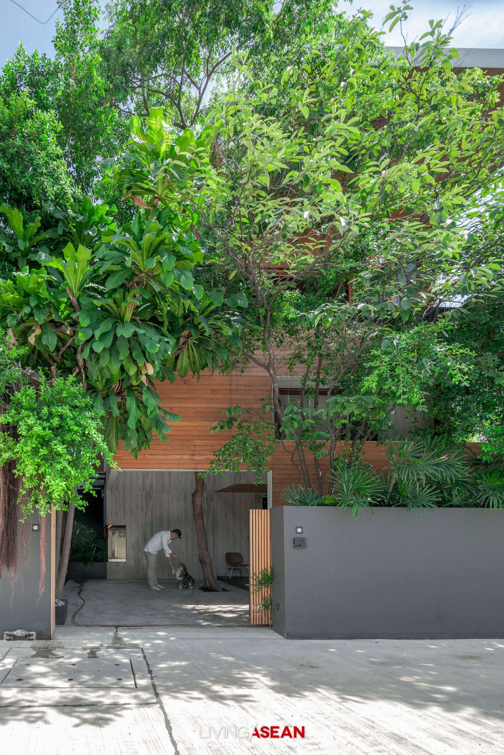 A Minimalist House with the Warm Elegance of Wood