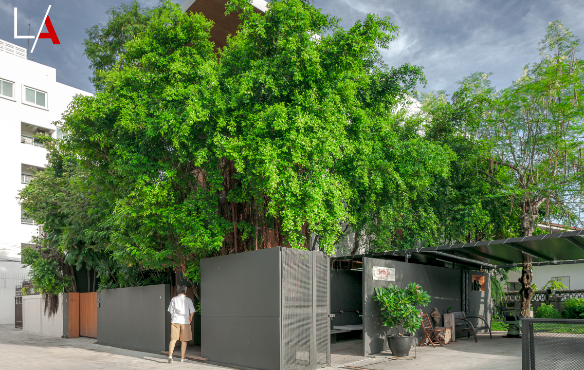A Minimalist House with the Warm Elegance of Wood