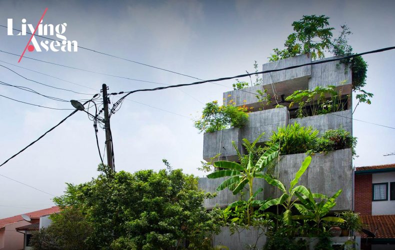 Planter Box House: A Narrow Lot Home with Edible Landscapes and Raw Concrete Façades